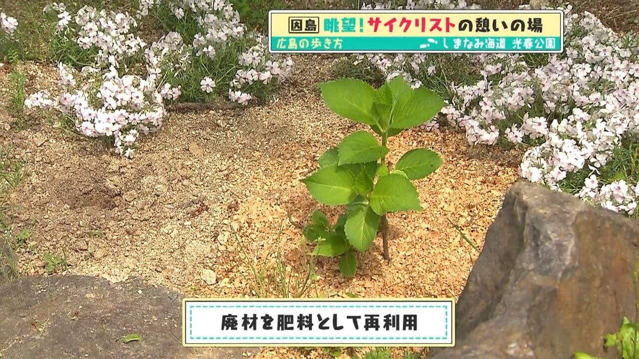 光春公園